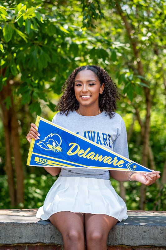 Madison Taylor University of Delaware flag